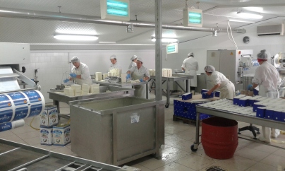 Mitarbeiterinnen bei der Produktion von Feta in der Molkerei in Griechenland.